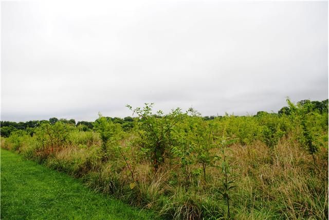 1142 Chenault Ln, Castalian Springs, TN 37031
