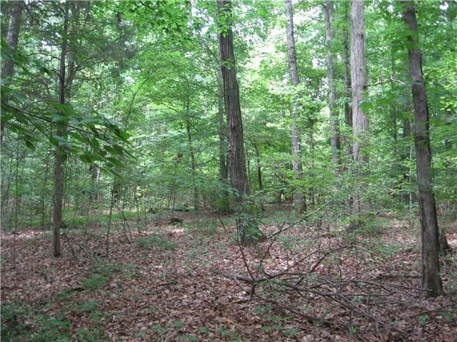 0 Hwy 48, Dickson, TN 37055