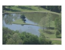 8251 Greenbrier Rd, Adams, TN 37010