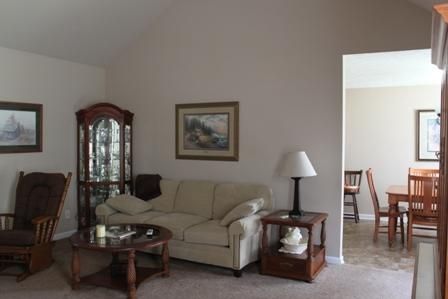 221 Brandywine Ln, Springfield, TN 37172