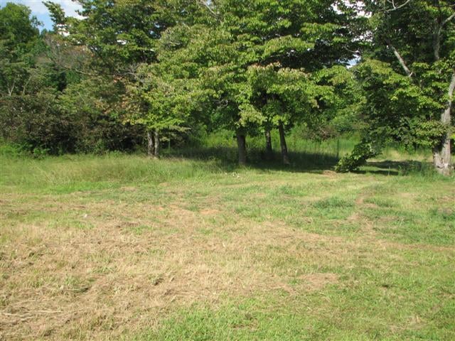 3431 James Stone Rd, Cedar Hill, TN 37032