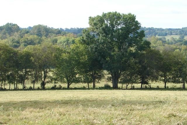 6659 Eudailey Covington Lot 3, College Grove, TN 37046