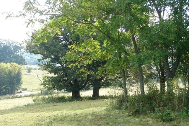 6659 Eudailey Covington Lot 5, College Grove, TN 37046