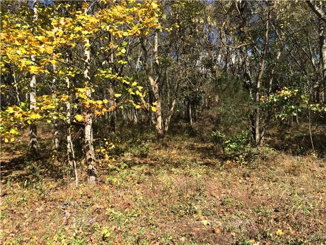 99 Old Hwy 99, Columbia, TN 38401