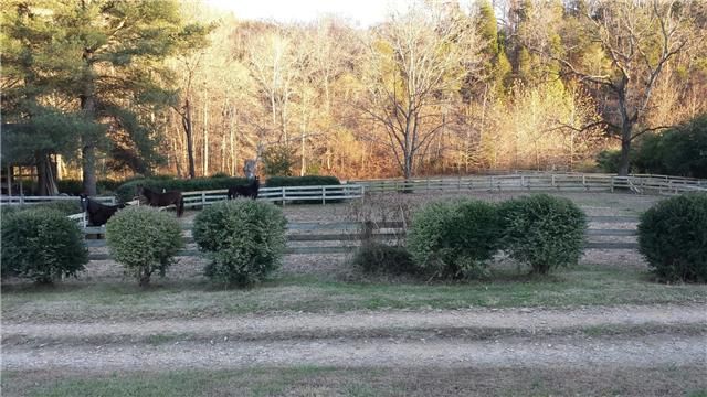 1585 Elnora Rd, White Bluff, TN 37187