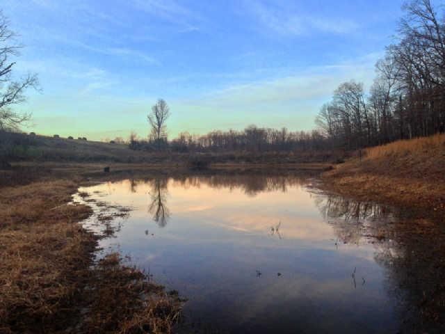 0 Beard Rd, Primm Springs, TN 38476