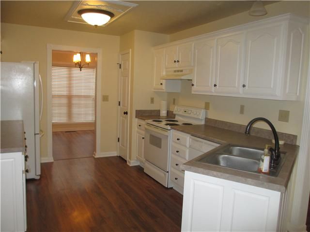 205 Harsh Ln, Castalian Springs, TN 37031