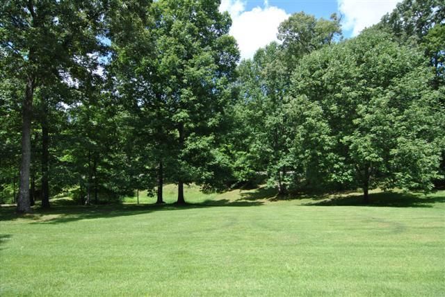 1015 Trainer Ave, Burns, TN 37029