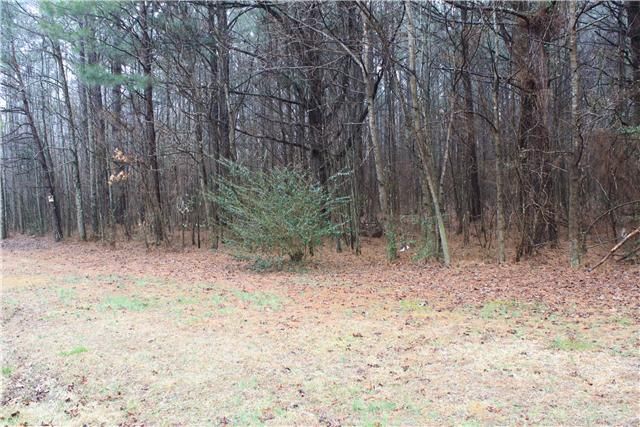 0 Sand Springs Rd, Elkmont, AL 35620
