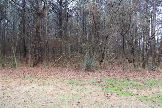 0 Sand Springs Rd, Elkmont, AL 35620