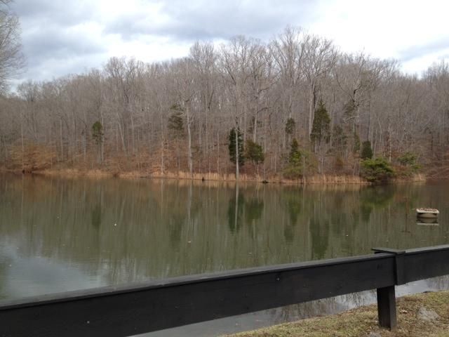1007 Thornblade Dr, Kingston Springs, TN 37082