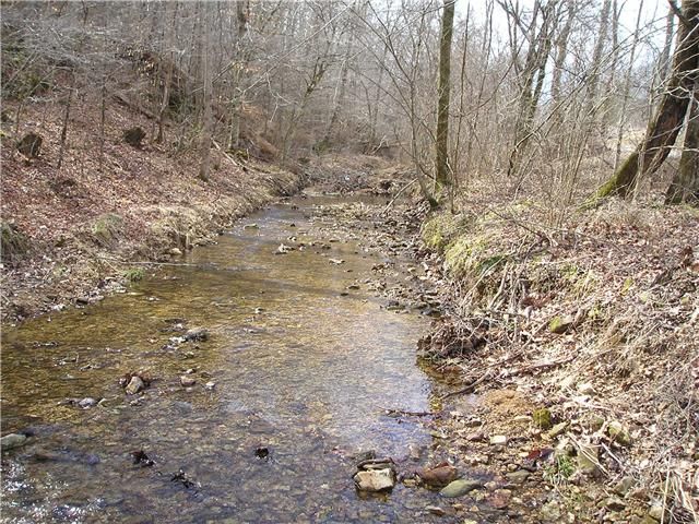 0 Old Natchez Trce, Santa Fe, TN 38482