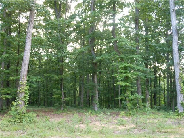7876 Oscar Green Rd, Fairview, TN 37062