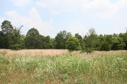 820 West Sagfefield, Smyrna, TN 37167