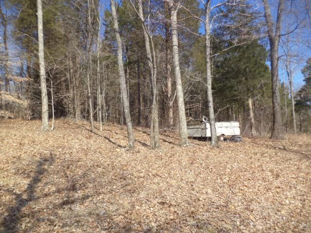 1130 Duffer Hollow Rd, Bethpage, TN 37022
