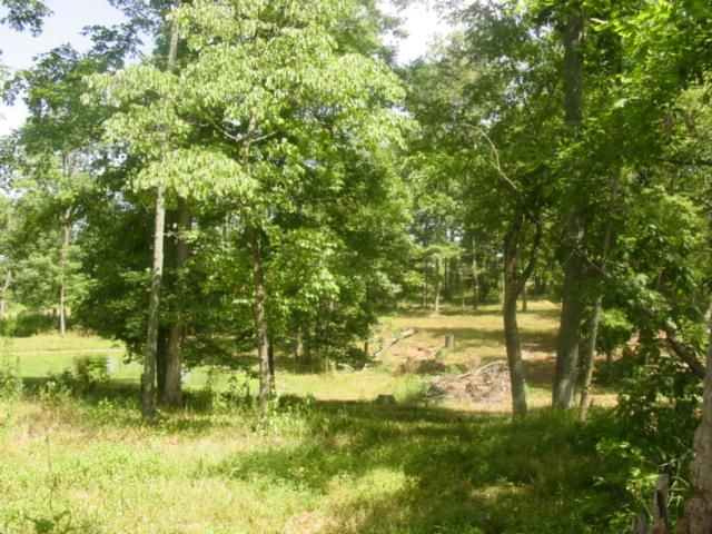 7430 Hwy 49e, Springfield, TN 37172