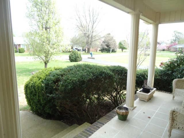 111 Iris Dr, Mount Pleasant, TN 38474