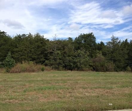 459 Annadel St, Murfreesboro, TN 37128