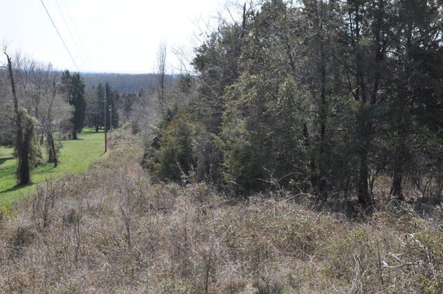 8845 O C Floyd Rd, College Grove, TN 37046