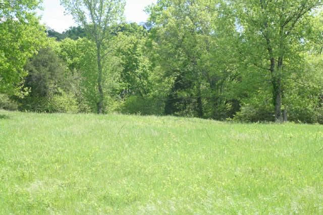 8 Sullivans Bend Rd, Elmwood, TN 38560