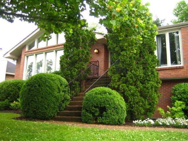 1104 Silverleaf Ter, Nashville, TN 37221