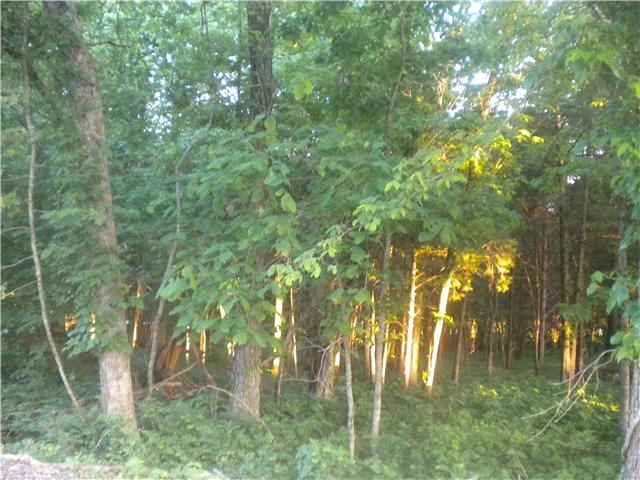 0 Bradford Blvd, Gallatin, TN 37066