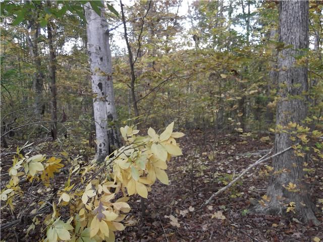 0 Sears Rd, Pegram, TN 37143