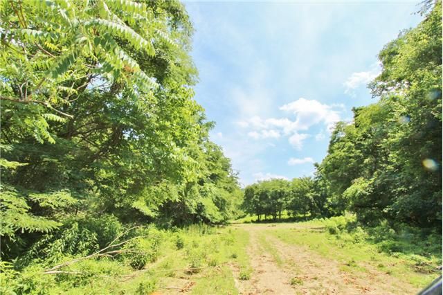 80 Brooks Hollow Ln, Pleasant Shade, TN 37145