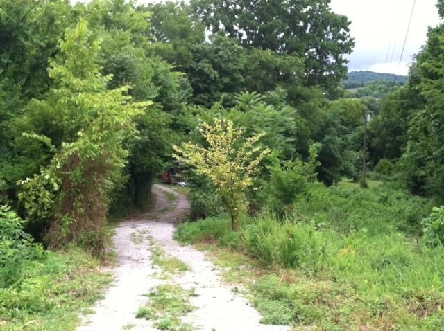 180A Rural Academy Ln, Brush Creek, TN 38547