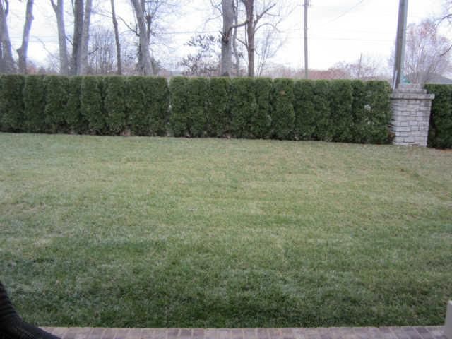 1009 Jarman Ln, Gallatin, TN 37066