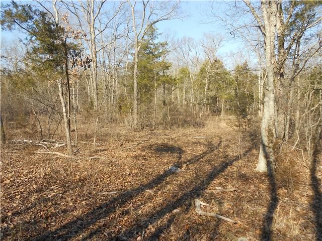 159 S Lovers Ln, Lebanon, TN 37090