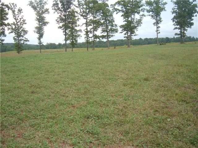 0 Mcelhiney Rd Tract 4, Dickson, TN 37055