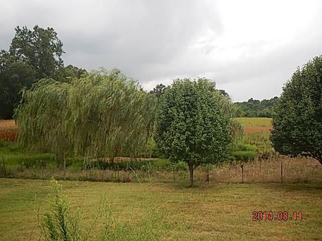 6323 Buzzard Creek Rd, Cedar Hill, TN 37032