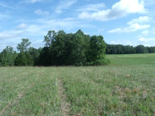 0 Arnold Rd, White Bluff, TN 37187
