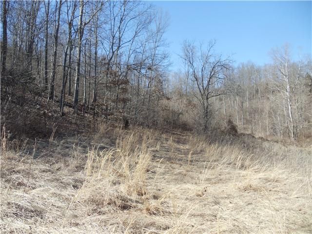 1031 Wallace Rd, Gallatin, TN 37066
