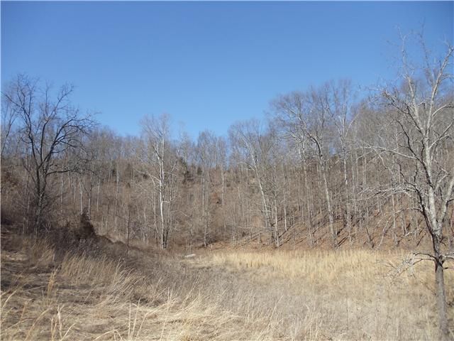 1031 Wallace Rd, Gallatin, TN 37066