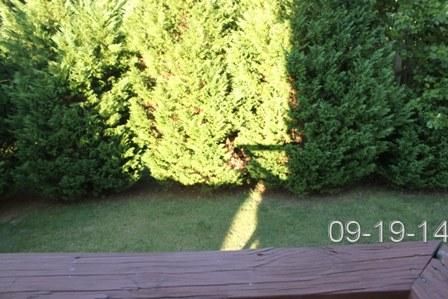 312 Red Bud Ct, Springfield, TN 37172