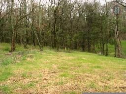 302 Lionheart Way, Franklin, TN 37067
