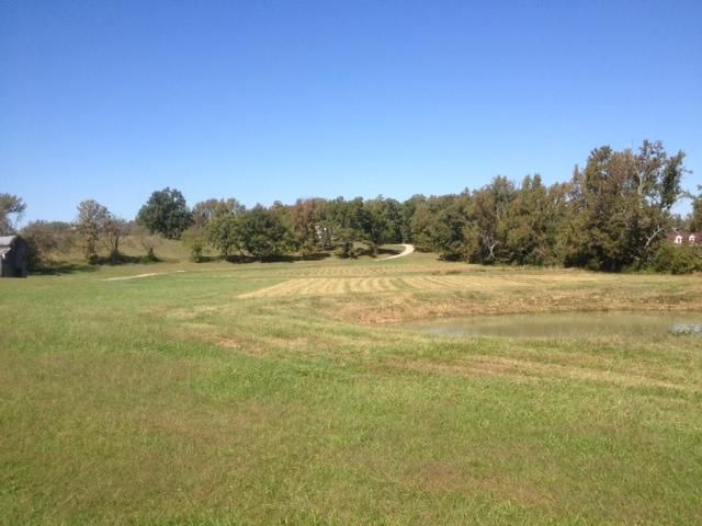 1451 Ridge Rd, Dickson, TN 37055