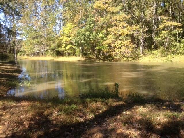 1451 Ridge Rd, Dickson, TN 37055