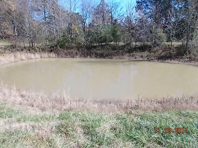 548 Rome Rd, Riddleton, TN 37151
