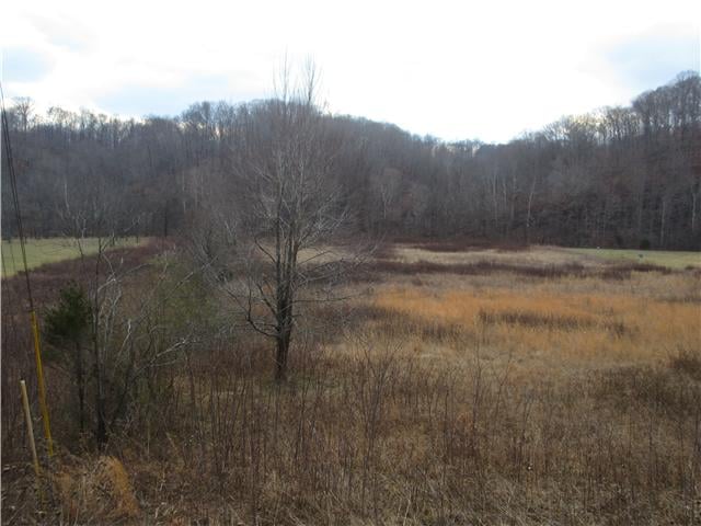 0 Tyree Springs, Hendersonville, TN 37075