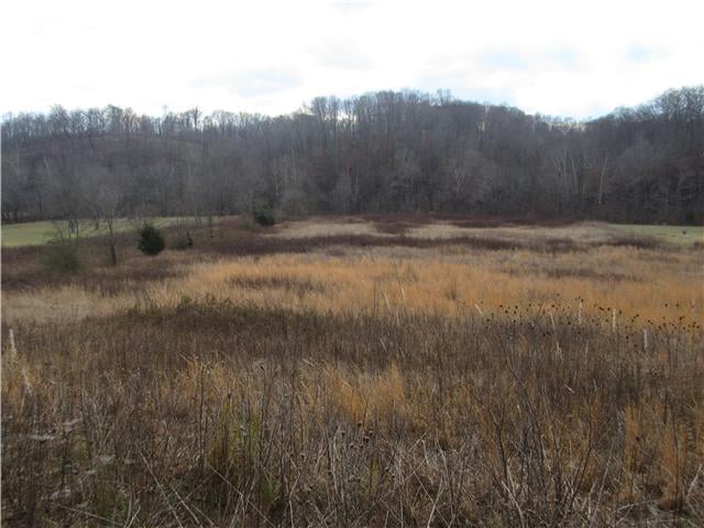 0 Tyree Springs, Hendersonville, TN 37075