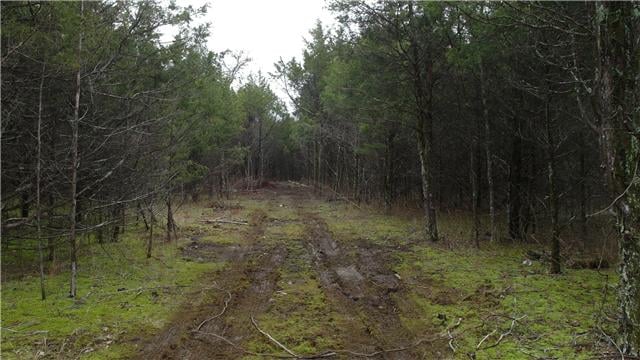 0 Hant Hollow Rd, Rockvale, TN 37153