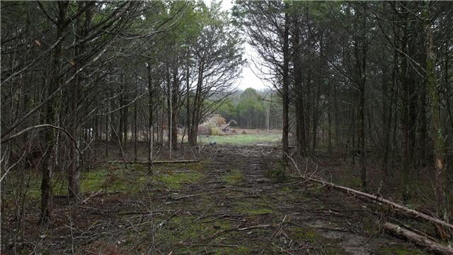 0 Hant Hollow Rd, Rockvale, TN 37153