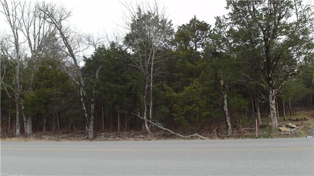 0 Hant Hollow Rd, Rockvale, TN 37153
