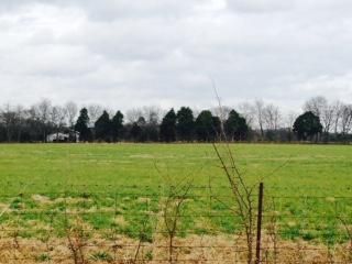 4 Kelley Farris Rd, Columbia, TN 38401