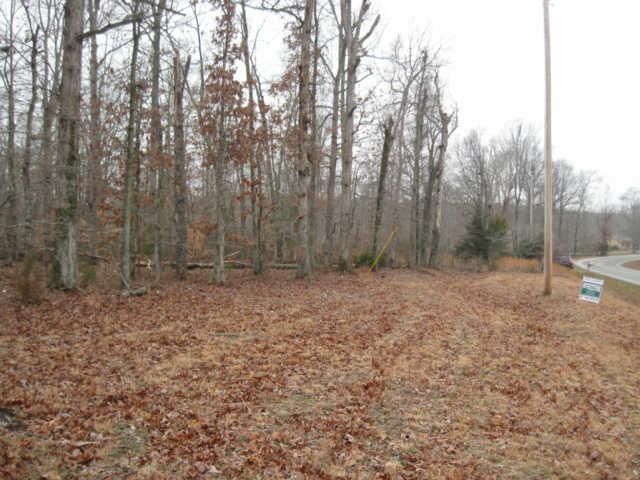 5671 Bending Chestnut Rd, Franklin, TN 37064