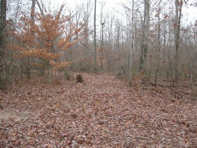 5671 Bending Chestnut Rd, Franklin, TN 37064