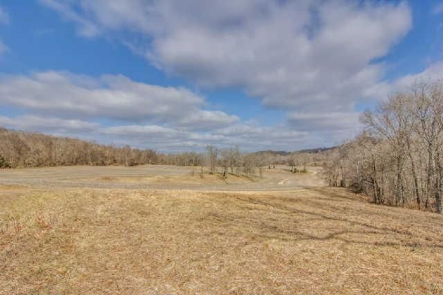 0 Haley Ln, Columbia, TN 38401